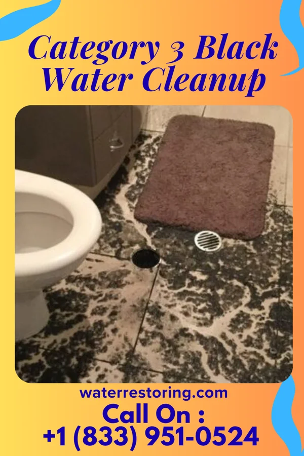 Category 3 Black Water Cleanup in Balaton, MN