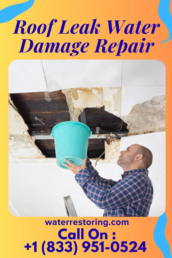 Roof Leak Water Damage Repair in Balaton, MN