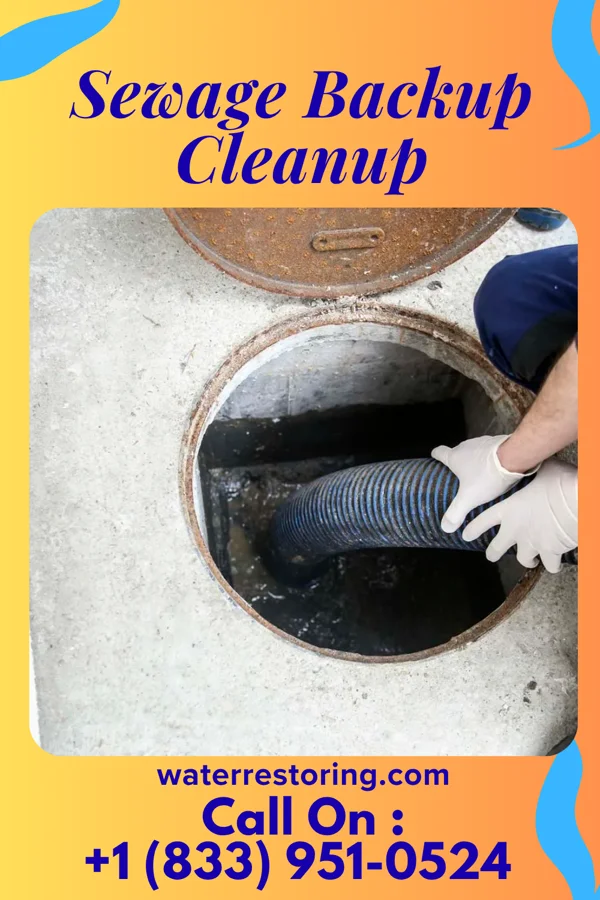 Sewage Backup Cleanup in Balaton, MN